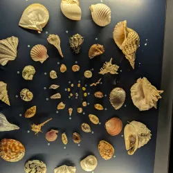 Musée de la nature et des sciences de Sherbrooke - Sherbrooke