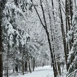 Parc du Mont-Bellevue - Sherbrooke