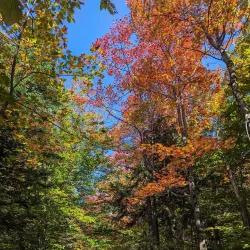 Parc du Mont-Bellevue - Sherbrooke