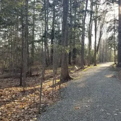 Parc Victoria - Sherbrooke