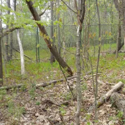 Parc Victoria - Sherbrooke