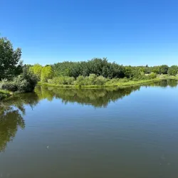 Broadmoor Lake Dog Park - Sherwood Park