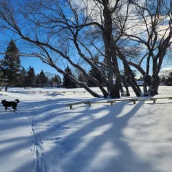 Broadmoor Public Golf Course - Sherwood Park