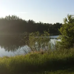 Festival Place - Sherwood Park