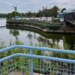 Festival Place - Sherwood Park