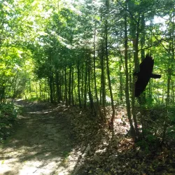 Backus Heritage Conservation Area - Simcoe