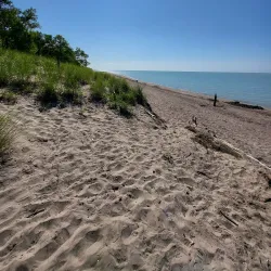 Long Point Provincial Park - Simcoe