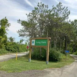 Long Point Provincial Park - Simcoe