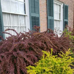 Norfolk County Museum and Archives - Simcoe