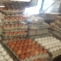 Simcoe Farmers' Market - Simcoe