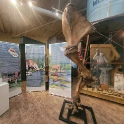 Waterford Heritage and Agricultural Museum - Simcoe