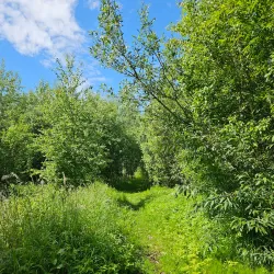 Big Lakes County Museum - Slave Lake