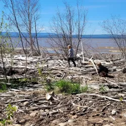 Lesser Slave Lake Bird Observatory - Slave Lake