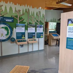 Lesser Slave Lake Bird Observatory - Slave Lake