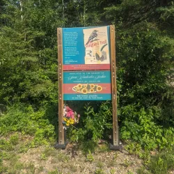 Lesser Slave Lake Bird Observatory - Slave Lake