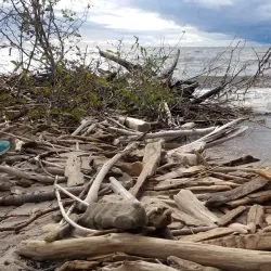 Lesser Slave Lake Provincial Park - Slave Lake