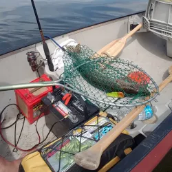 Slave Lake Marina - Slave Lake