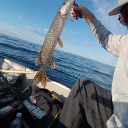 Slave Lake Marina - Slave Lake