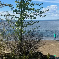 Slave Lake Marina - Slave Lake
