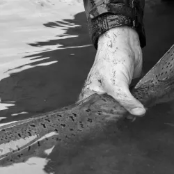 Skeena River - Smithers