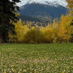 Smithers Golf and Country Club - Smithers