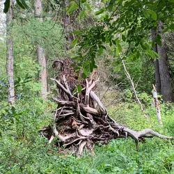 Heritage Grove Park - Spruce Grove