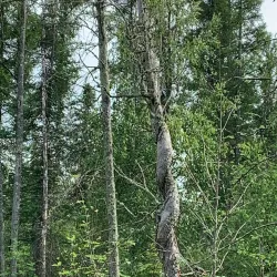 Heritage Grove Park - Spruce Grove