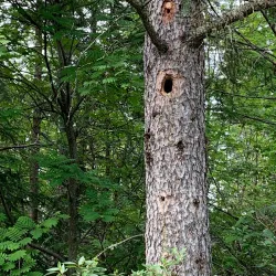 Heritage Grove Park - Spruce Grove