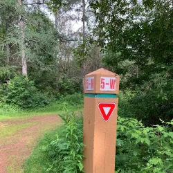 Heritage Grove Park - Spruce Grove