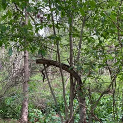 Heritage Grove Park - Spruce Grove