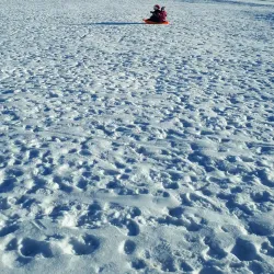 Lions Park - Spruce Grove