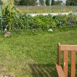 Spruce Grove Farmers' Market - Spruce Grove