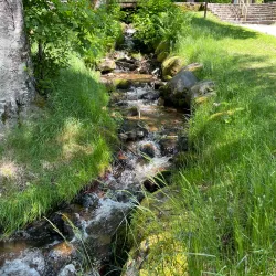 Alice Lake Provincial Park - Squamish