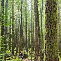 Alice Lake Provincial Park - Squamish