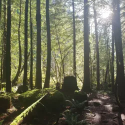 Alice Lake Provincial Park - Squamish