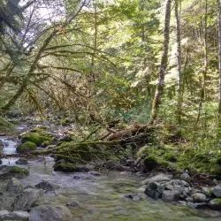 Brackendale Eagles Provincial Park - Squamish