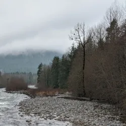 Brackendale Eagles Provincial Park - Squamish
