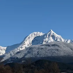 Brackendale Eagles Provincial Park - Squamish