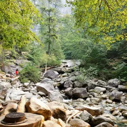 Shannon Falls Provincial Park - Squamish