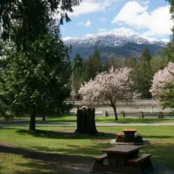 Shannon Falls Provincial Park - Squamish