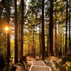 Shannon Falls Provincial Park - Squamish