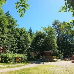 Smoke Bluffs Park - Squamish