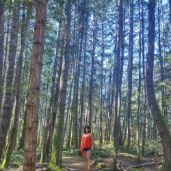 Smoke Bluffs Park - Squamish