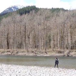 Squamish Estuary - Squamish