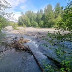 Squamish Estuary - Squamish