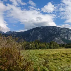 Squamish Estuary - Squamish