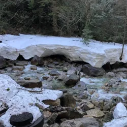 Squamish Estuary - Squamish