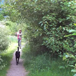 Squamish Estuary - Squamish