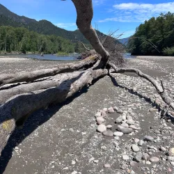 Squamish Estuary - Squamish