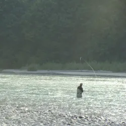 Squamish Estuary - Squamish